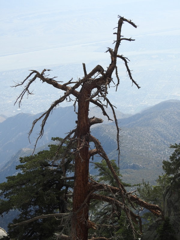 DSCN3492.JPG