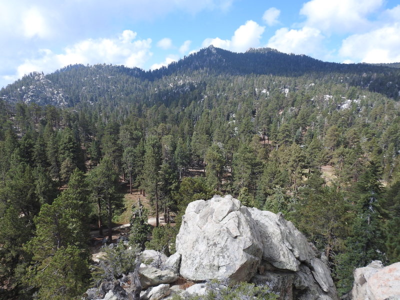 DSCN3499.JPG