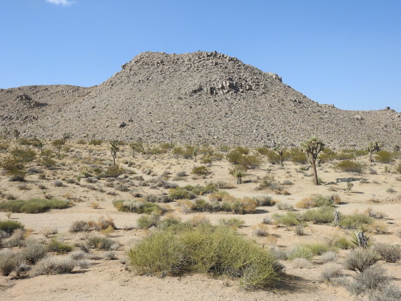 DSCN3372.JPG