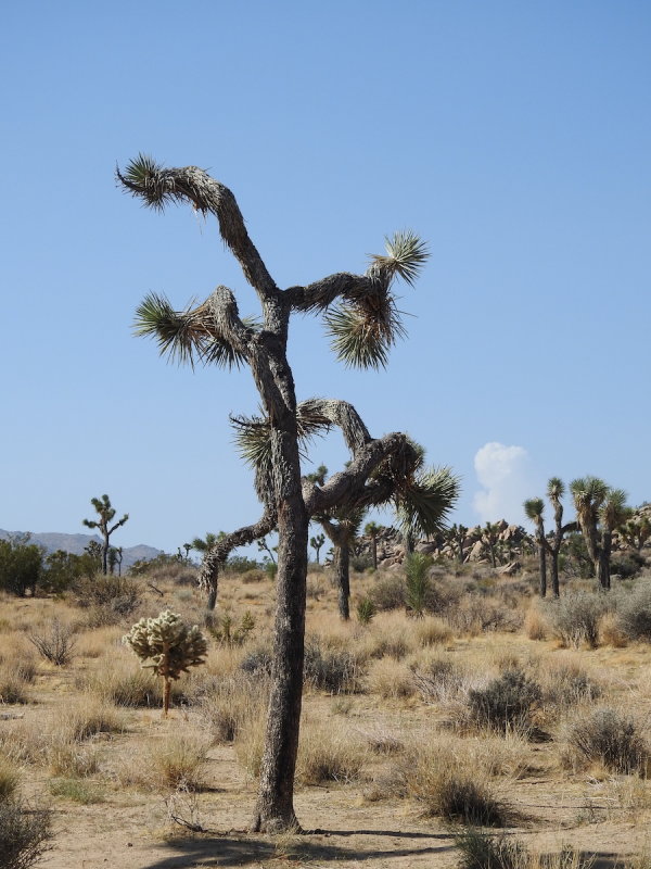 DSCN3378.JPG