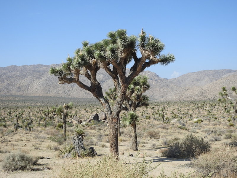 DSCN3383.JPG