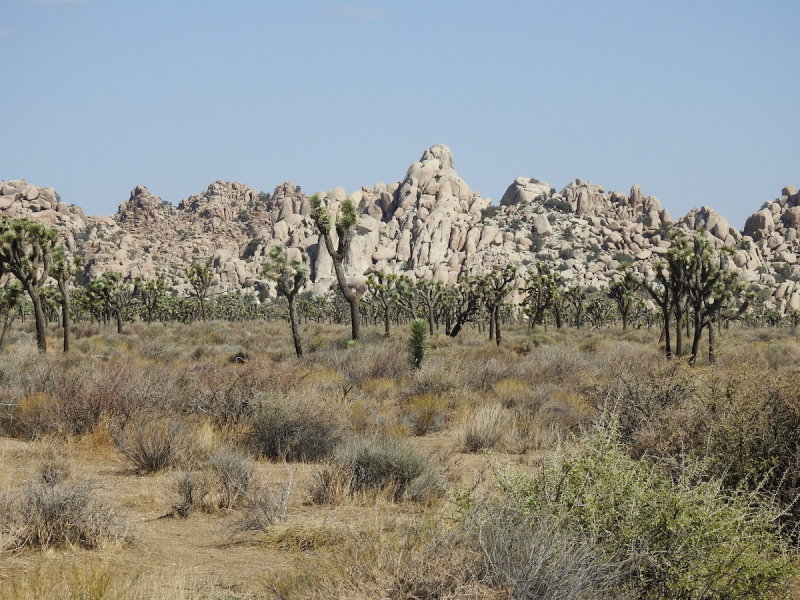 DSCN3395.JPG