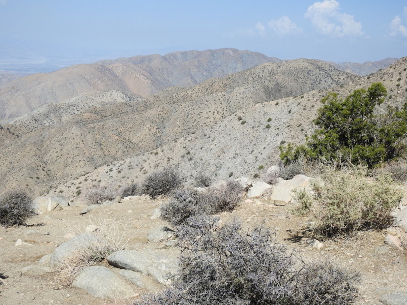 DSCN3402.JPG
