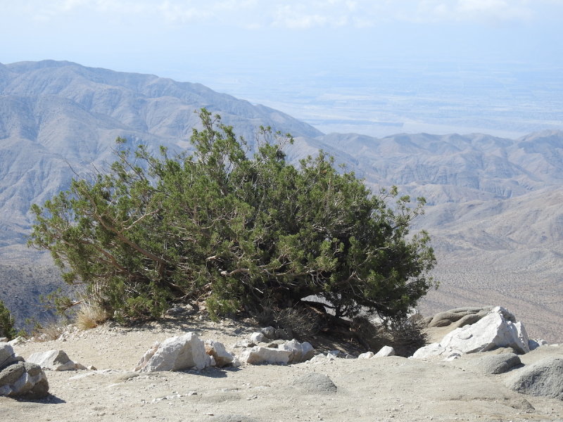 DSCN3405.JPG