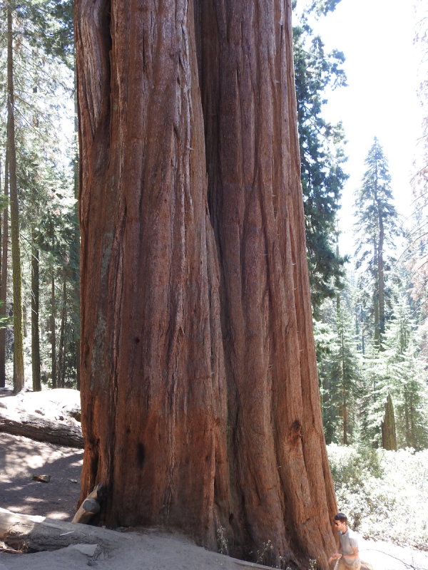 DSCN3749.JPG