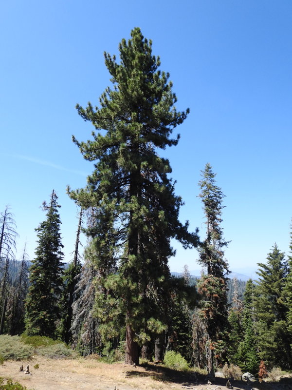 DSCN3764.JPG