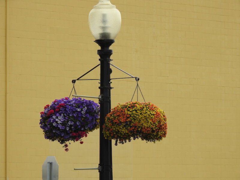 DSCN4165.JPG
