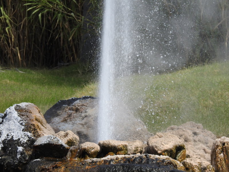 DSCN4229.JPG