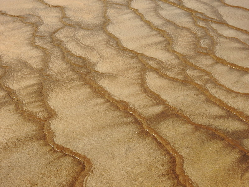 DSCN4460.JPG