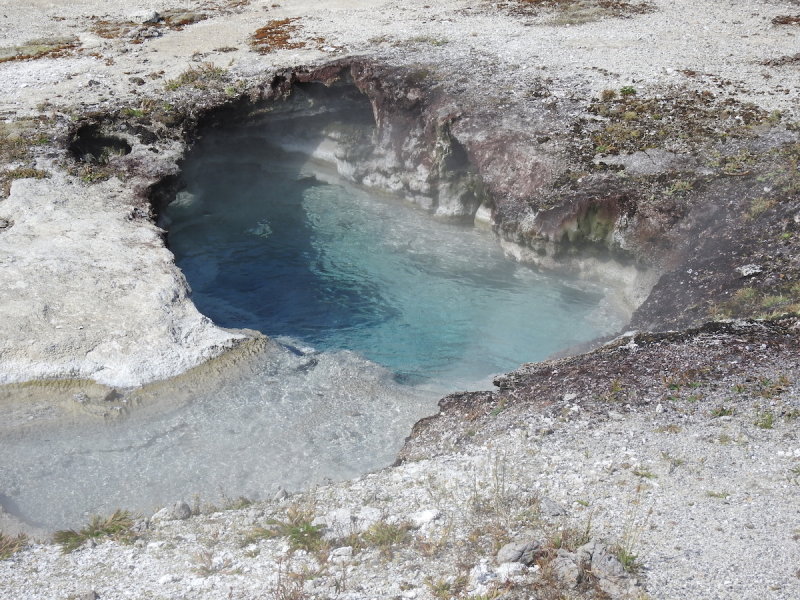 DSCN4511.JPG