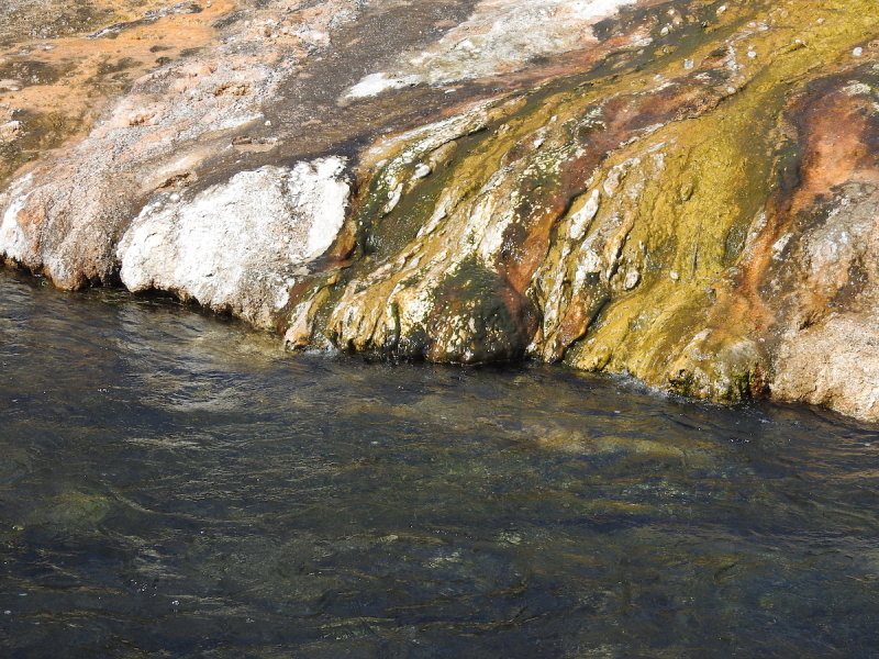 DSCN4523.JPG