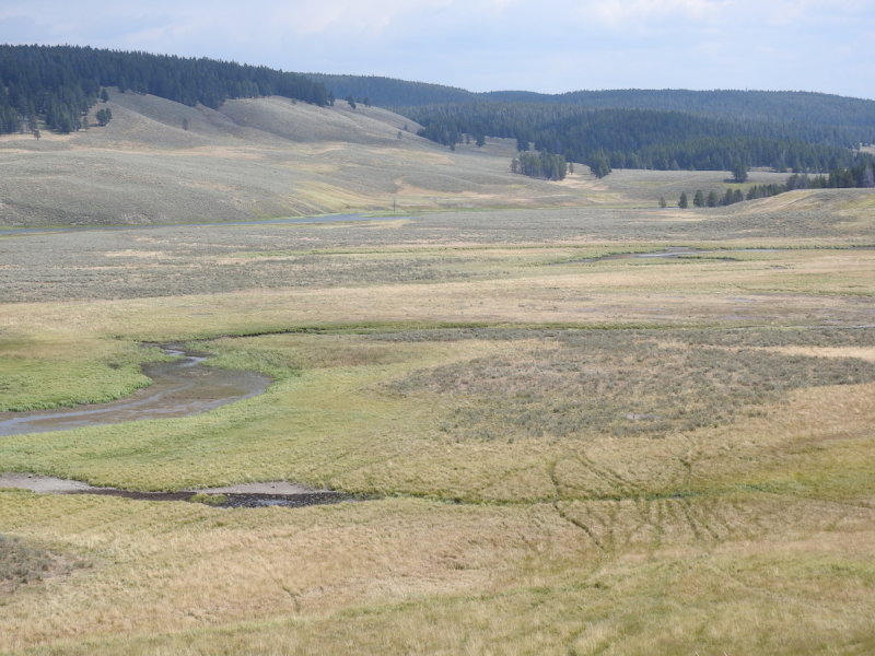 DSCN4605.JPG