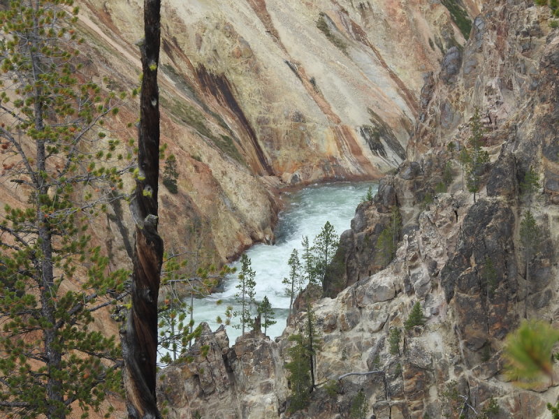 DSCN4652.JPG