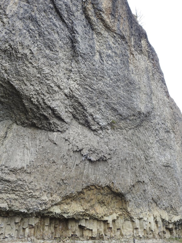 DSCN4684.JPG