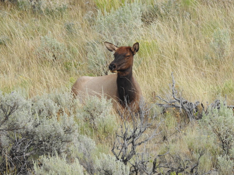 DSCN4707.JPG