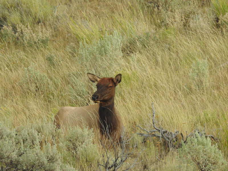 DSCN4708.JPG