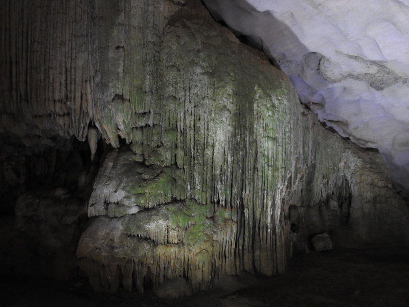 DSCN6497.JPG
