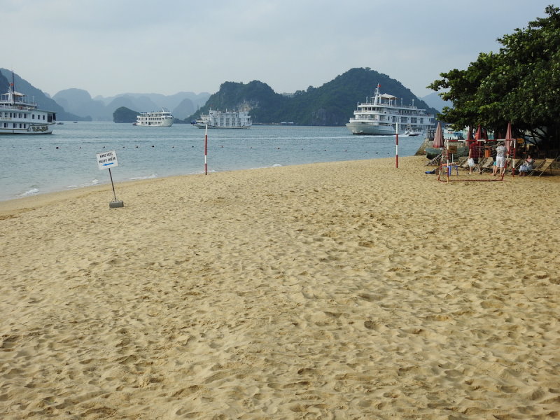 DSCN6584.JPG