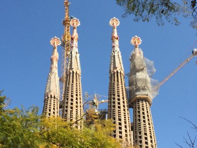 IMG_2672.JPG