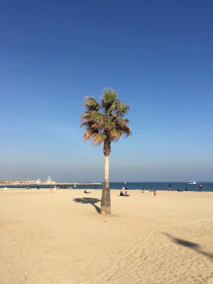 IMG_2730.JPG