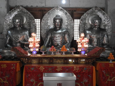 DSCN0366.JPG