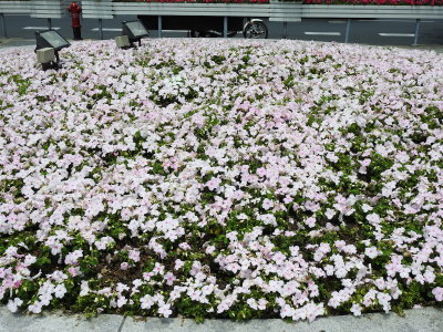 DSCN0373.JPG