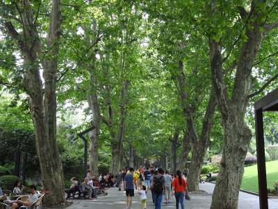DSCN0374.JPG