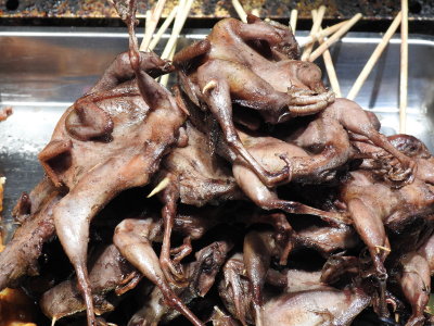 DSCN0480.JPG