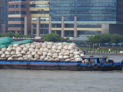 DSCN0532.JPG