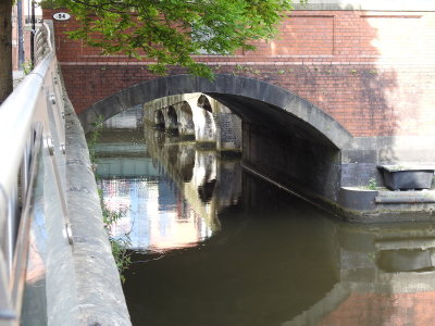DSCN0650.JPG