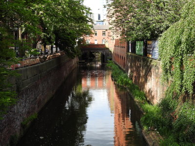 DSCN0660.JPG