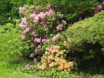 DSCN0762.JPG