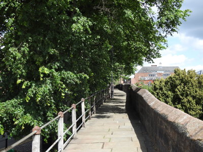 DSCN0876.JPG