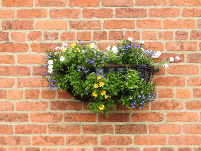 DSCN0918.JPG