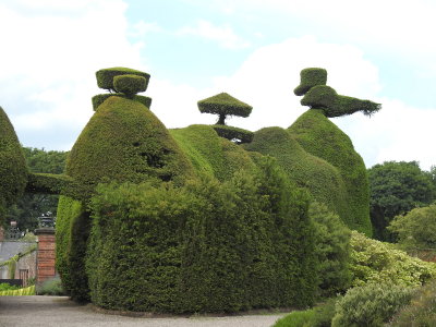 DSCN0942.JPG