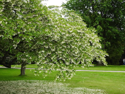 DSCN0949.JPG