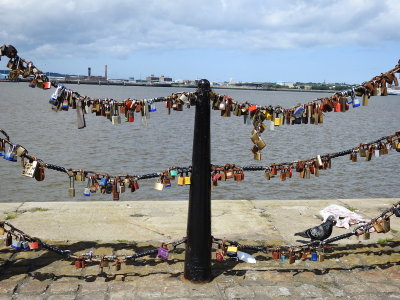 DSCN1065.JPG
