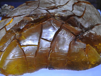 DSCN1857.JPG