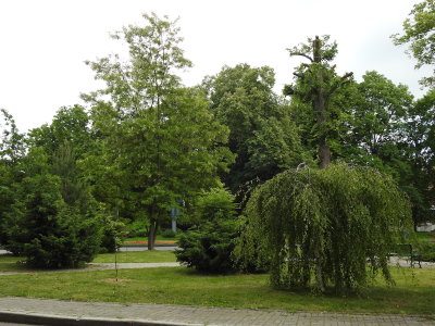 DSCN2046.JPG