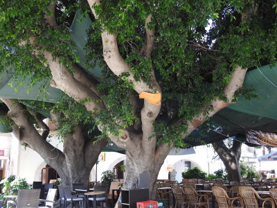 DSCN2526.JPG