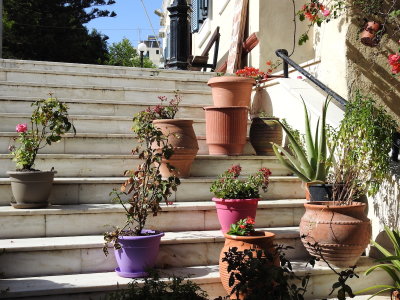 DSCN2537.JPG