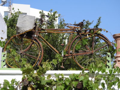 DSCN2558.JPG