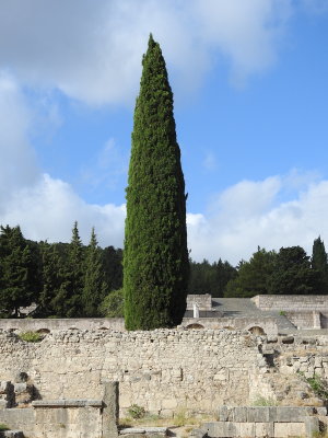 DSCN2569.JPG