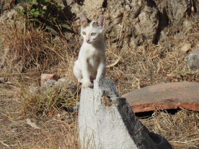 DSCN2570.JPG