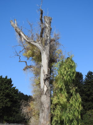 DSCN2571.JPG