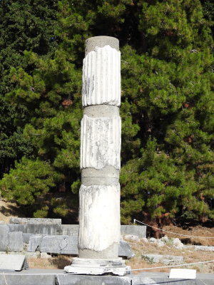 DSCN2597.JPG