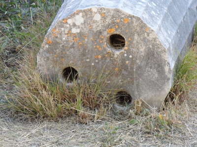 DSCN2621.JPG