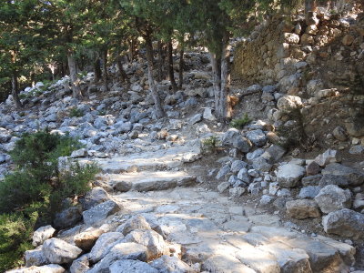DSCN2655.JPG
