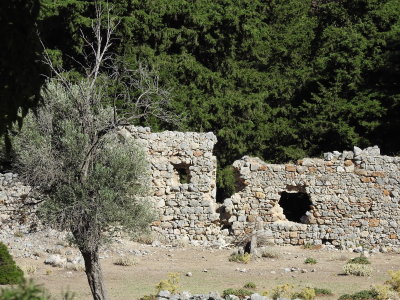 DSCN2664.JPG