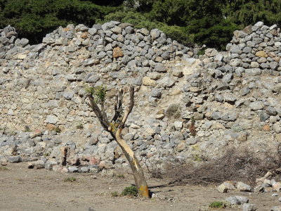 DSCN2669.JPG
